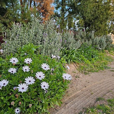 Апартаменты Gowrie Agapanthus Синглтон Экстерьер фото
