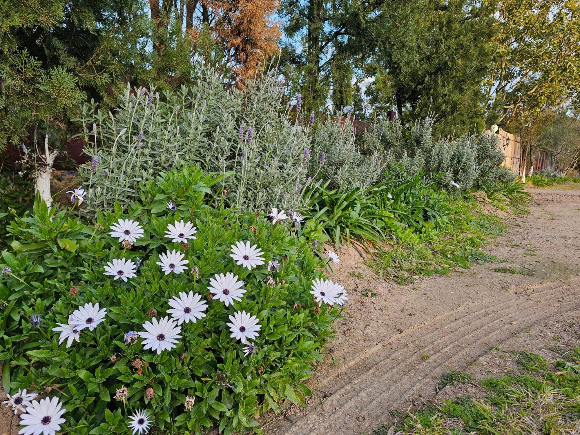 Апартаменты Gowrie Agapanthus Синглтон Экстерьер фото